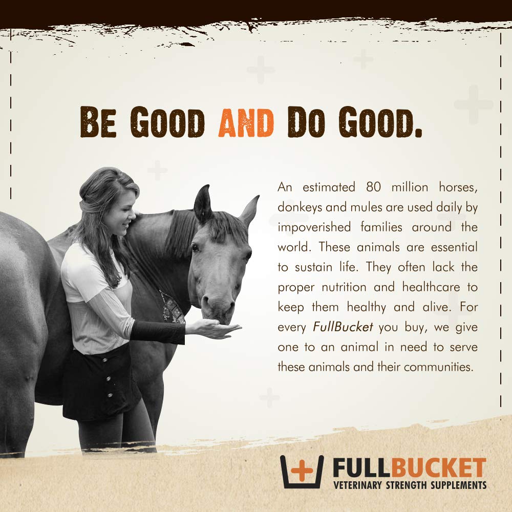 FullBucket Health paste administration syringe simplifies routine dosing.