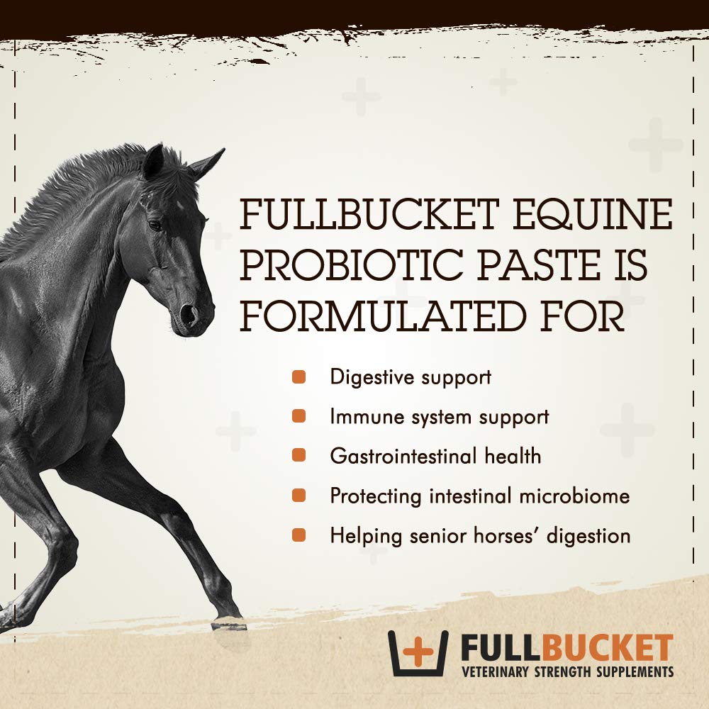 FullBucket Health probiotic paste hindgut delivery in action, supporting digestion.