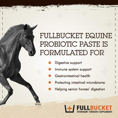 FullBucket Health probiotic paste hindgut delivery in action, supporting digestion.