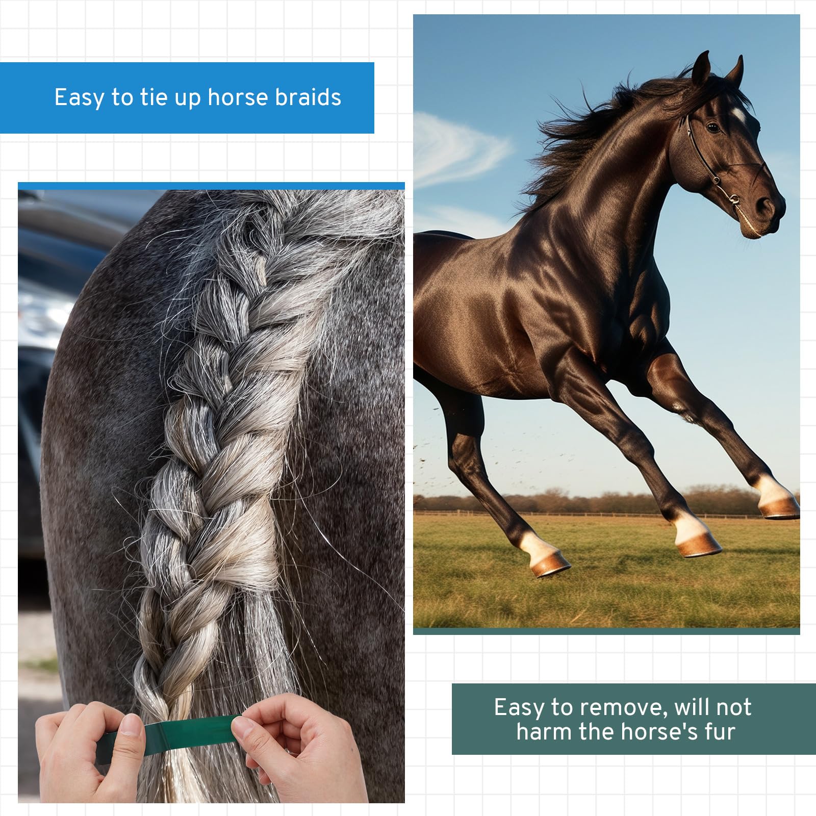 Fullhawl blue blunt-tip scissors for safe, precise mane trimming.
