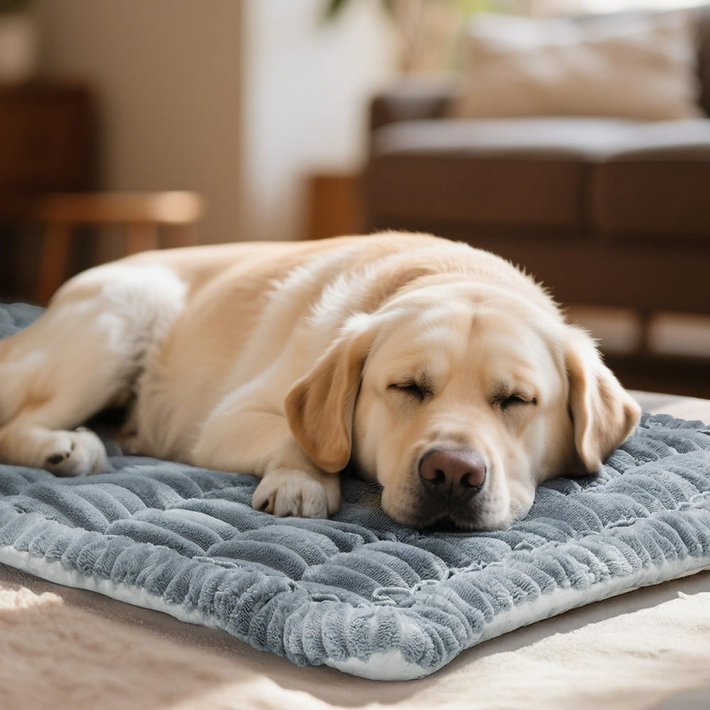 Fulltour dog car seat cover 4cm cushioning supports joints