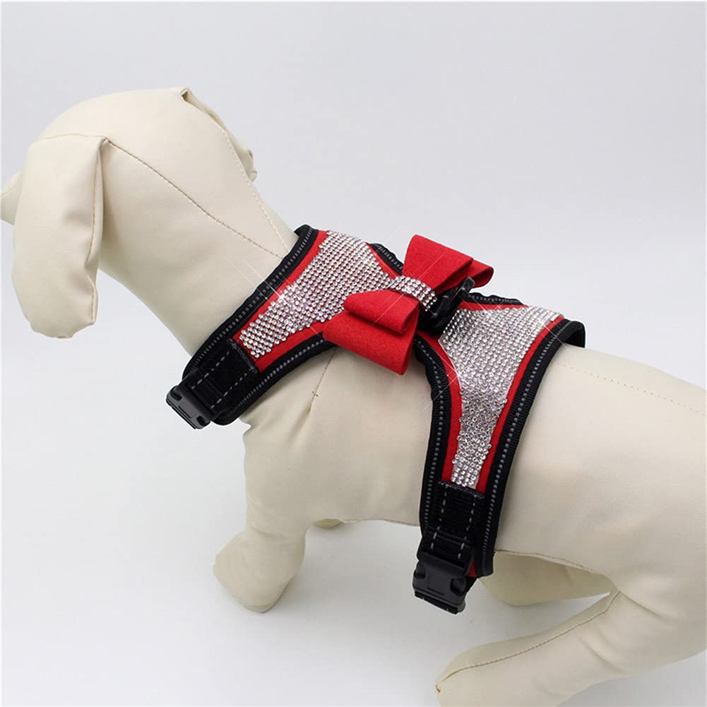 FUNAT outdoor-walk setup with harness suggests secure control and stylish presence.