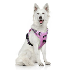 Funfox No Pull harness back clip aids controlled walks on pink XL dog harness