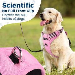 Funfox reflective strips on pink XL harness for night visibility