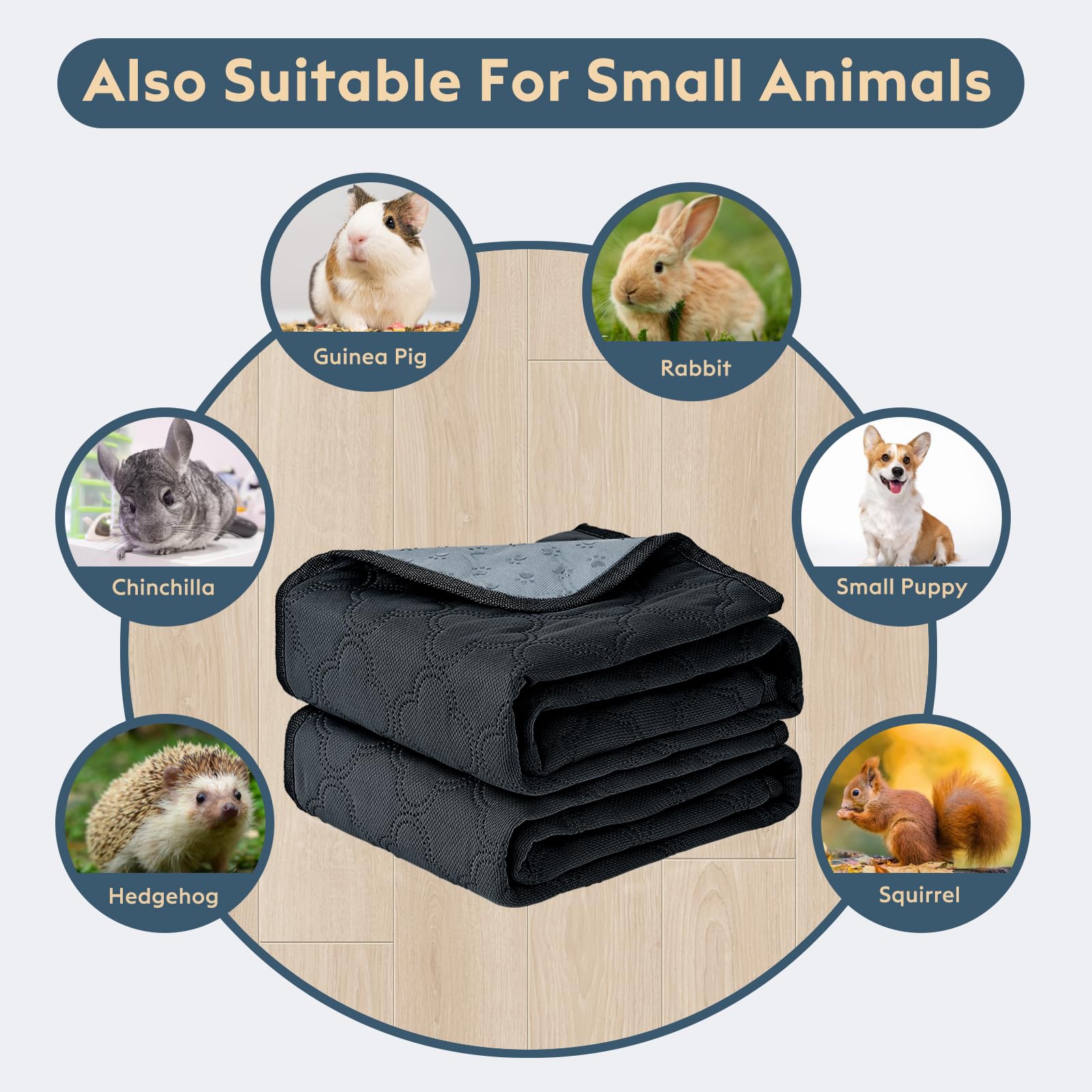 Multi-pet use scene showing versatility for dogs and small animals