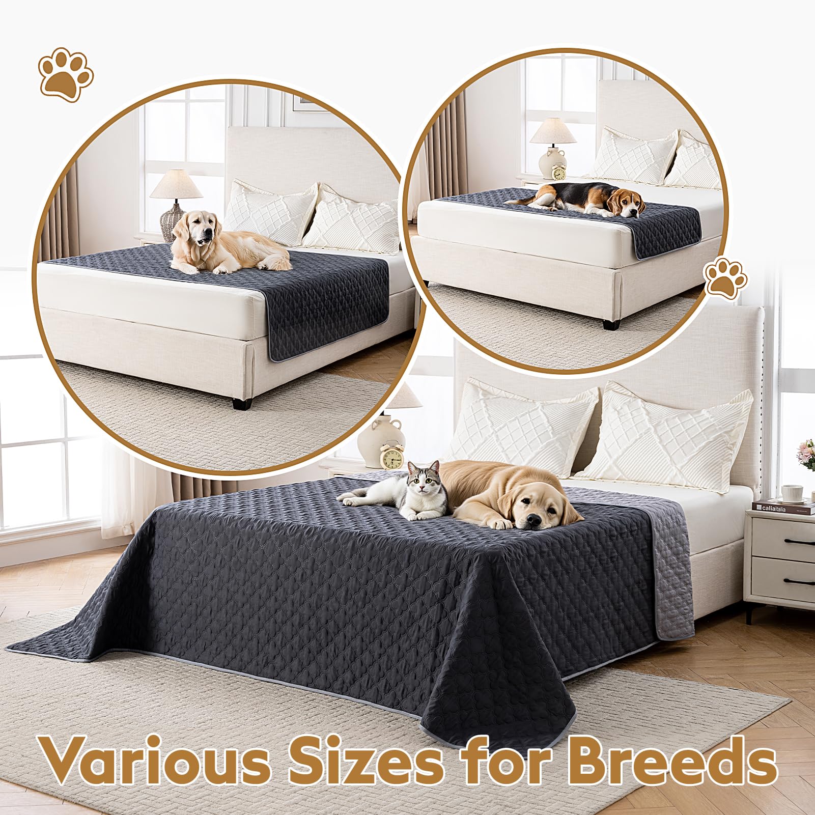 FunFurry plush fiber softness close-up highlights cuddly comfort for pets during lounging