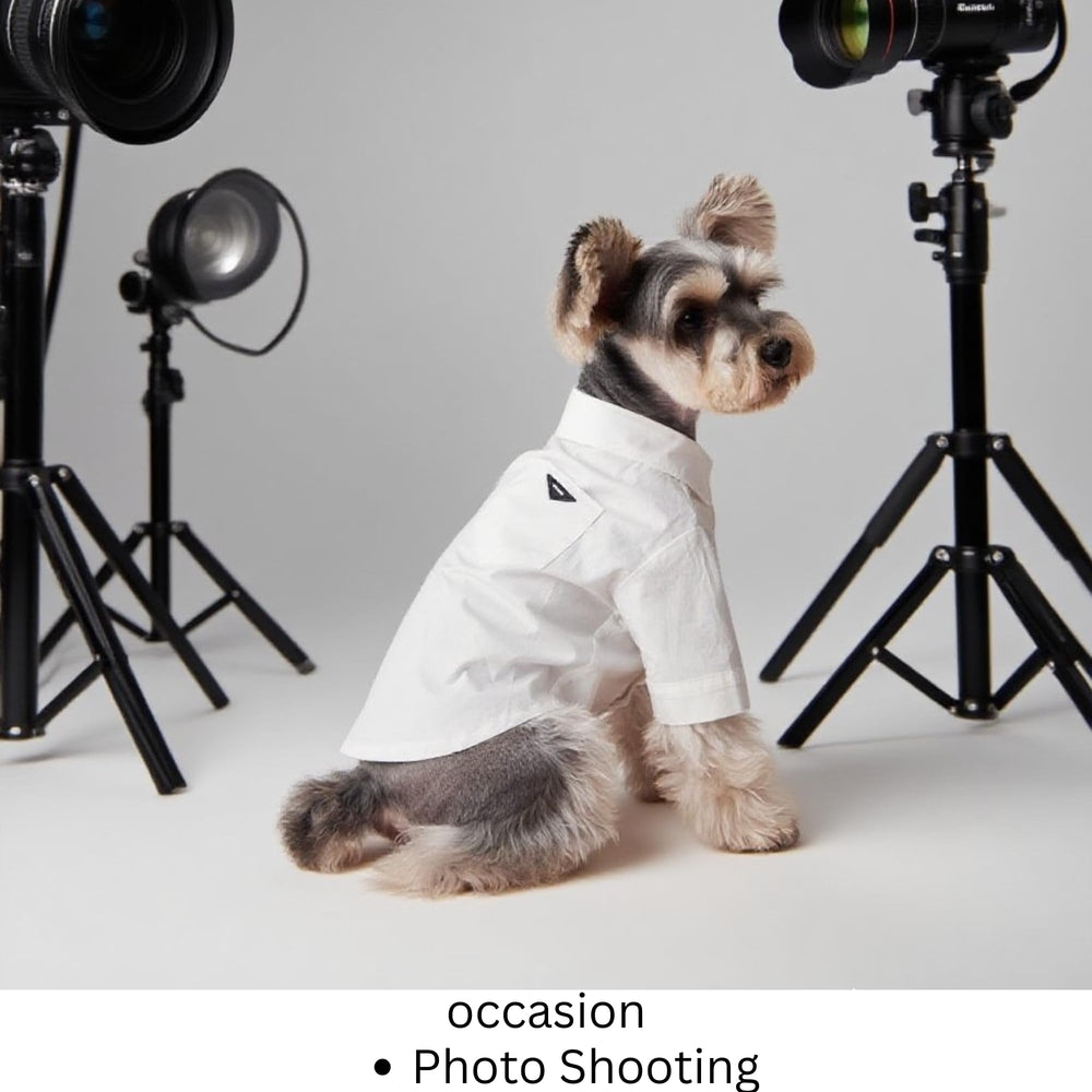 Fung Fay luxury dog shirt breathable fabric suitable for indoors and outdoors.