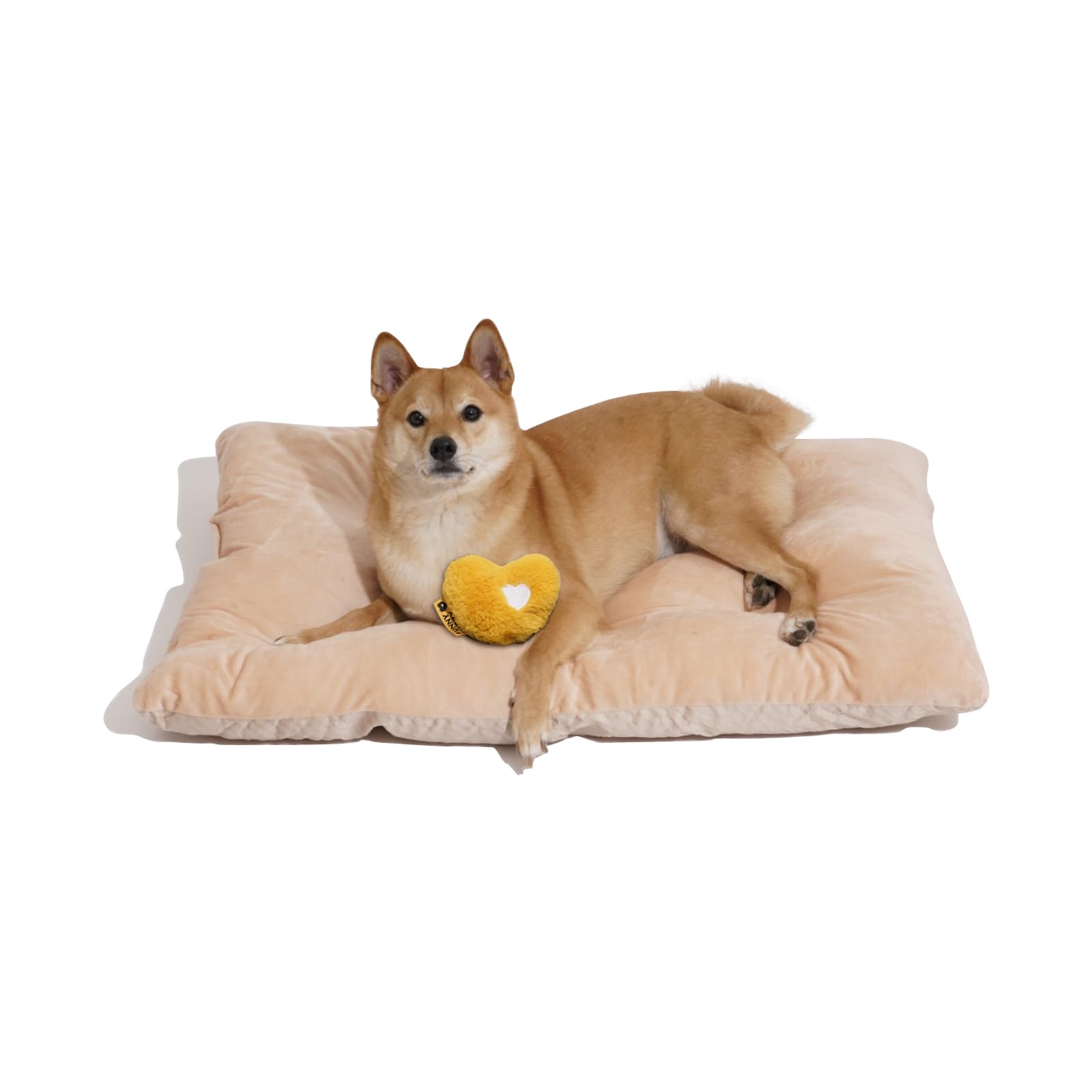 Funny Fuzzy 2-in-1 dog crate bed pad soft plush surface for comfort
