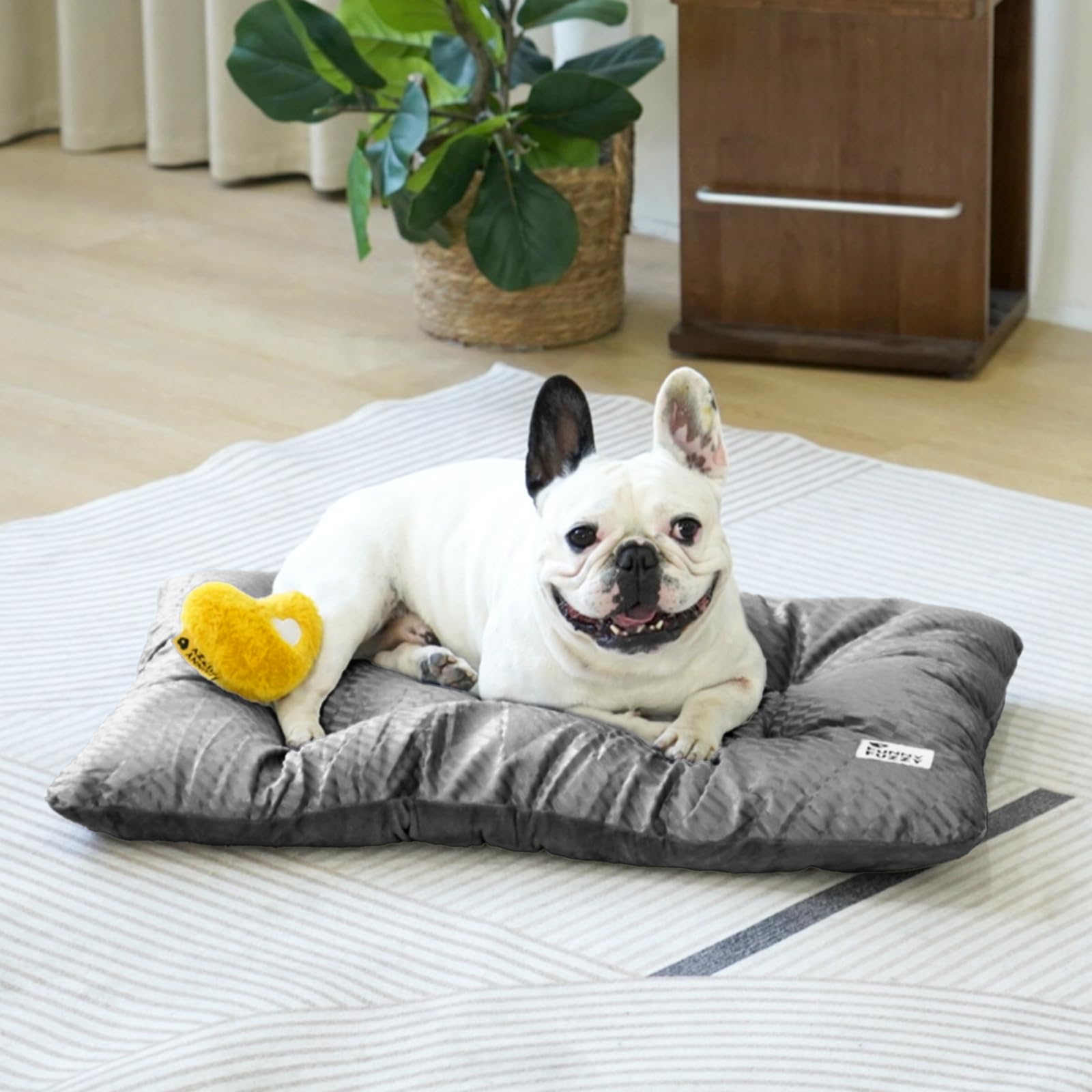 Funny Fuzzy bed included heart-shaped toy for playtime enrichment