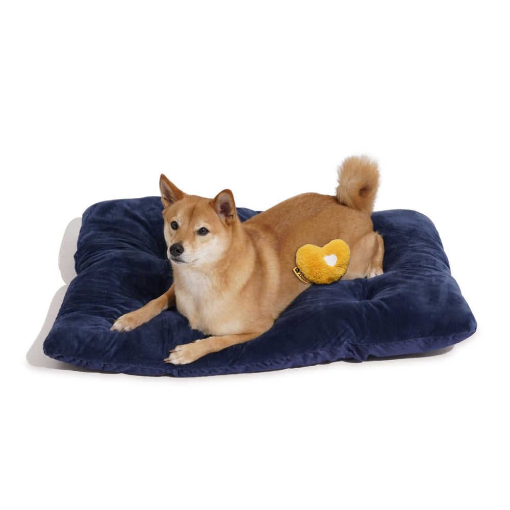 FUNNY FUZZY bed mat interior cozy offers plush interior for nap sessions