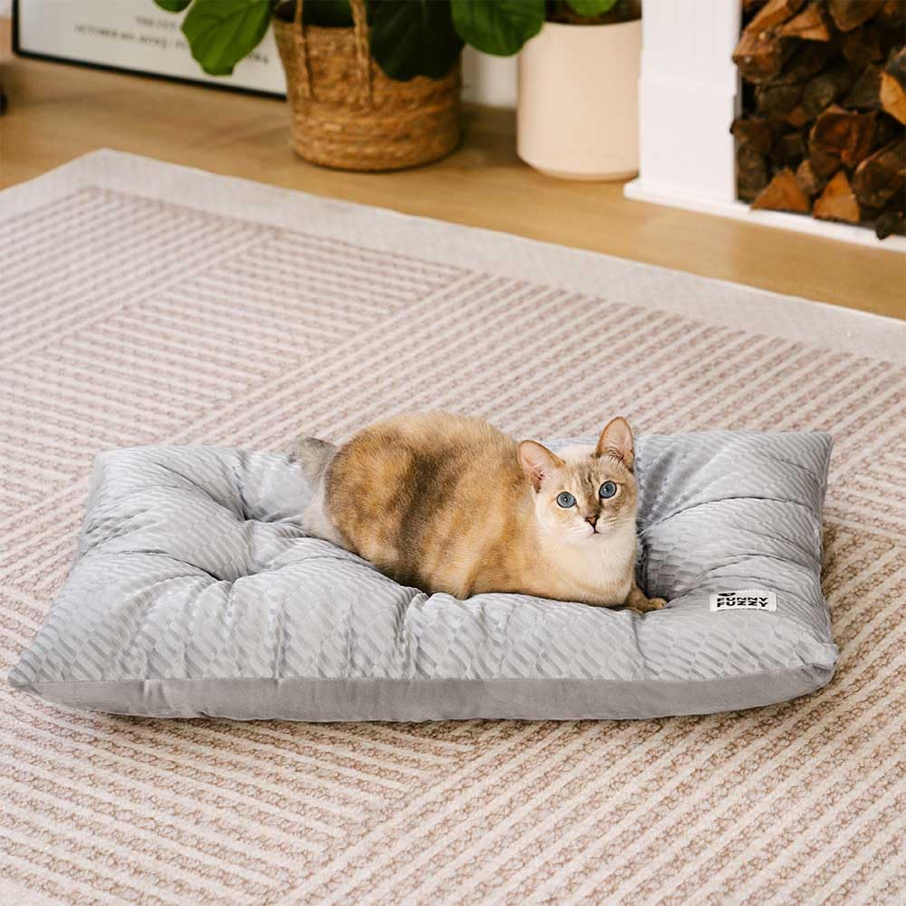 Funny Fuzzy bed mat size large accommodates larger pets for lounging
