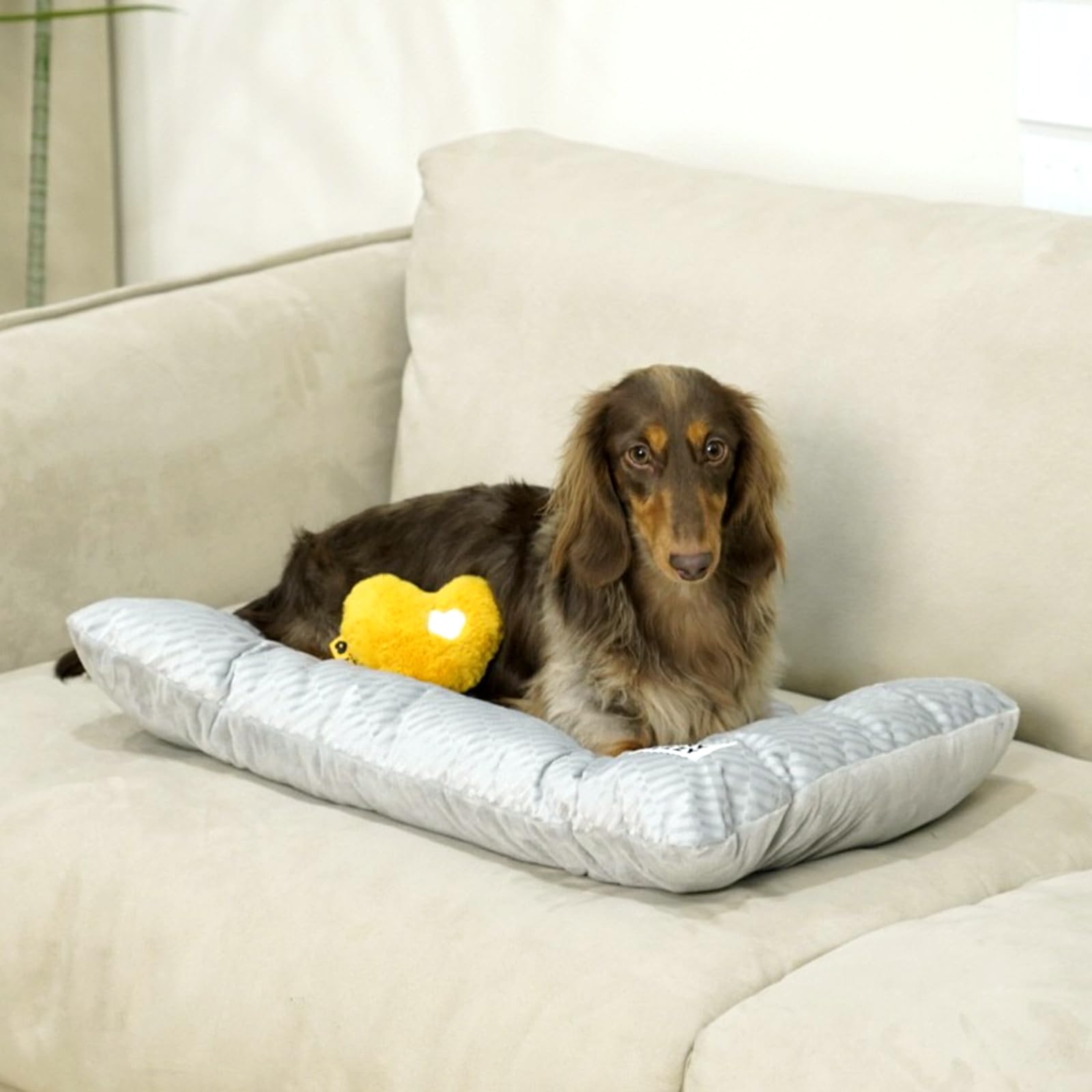 Funny Fuzzy bed mat size medium fits mid-sized dogs for cozy rest