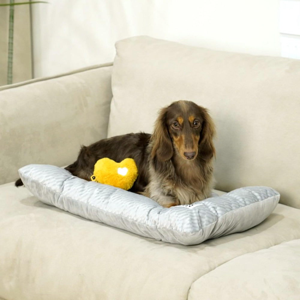 Funny Fuzzy bed mat size medium fits mid-sized dogs for cozy rest