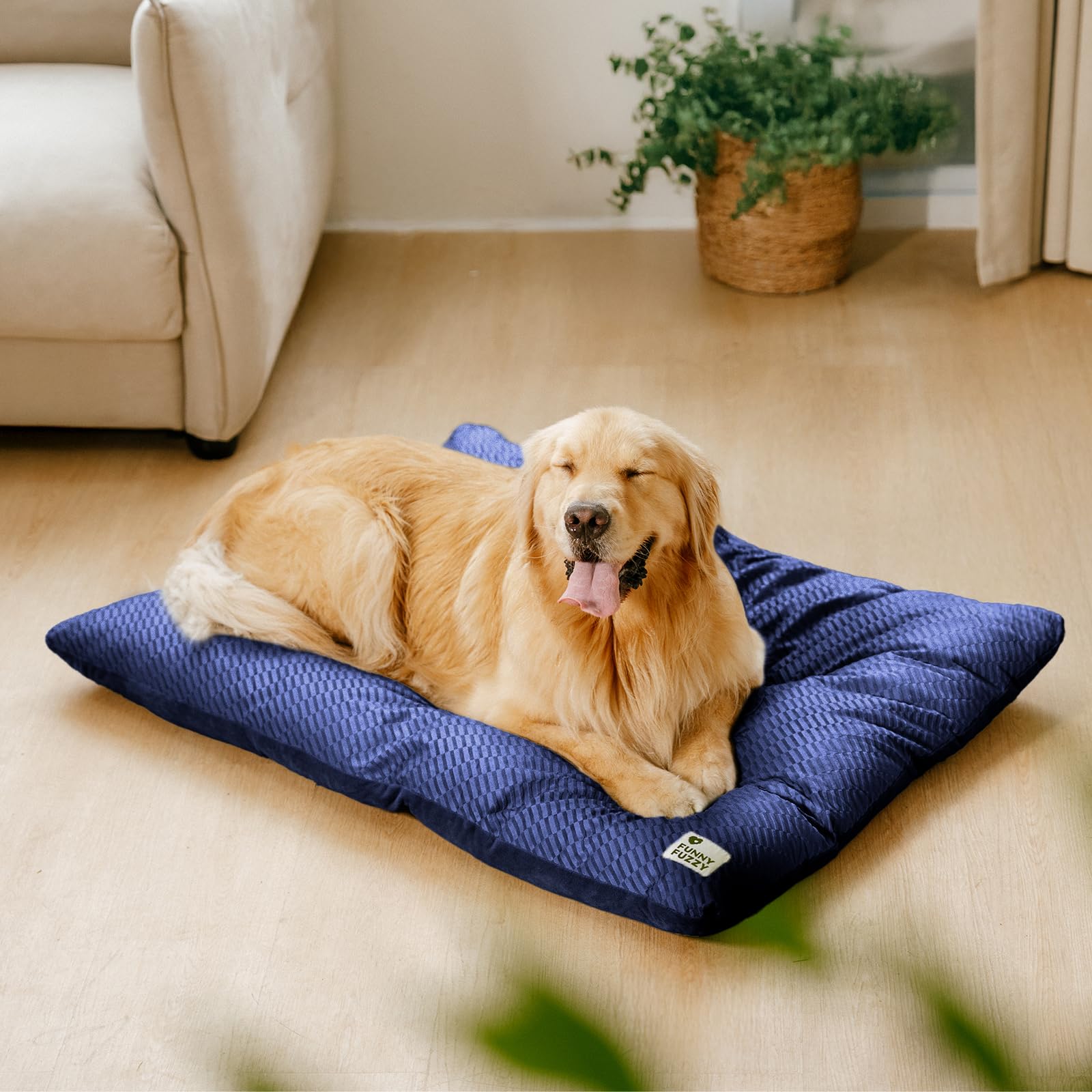 Funny Fuzzy bed sleeping dog XL captures restful content relaxation