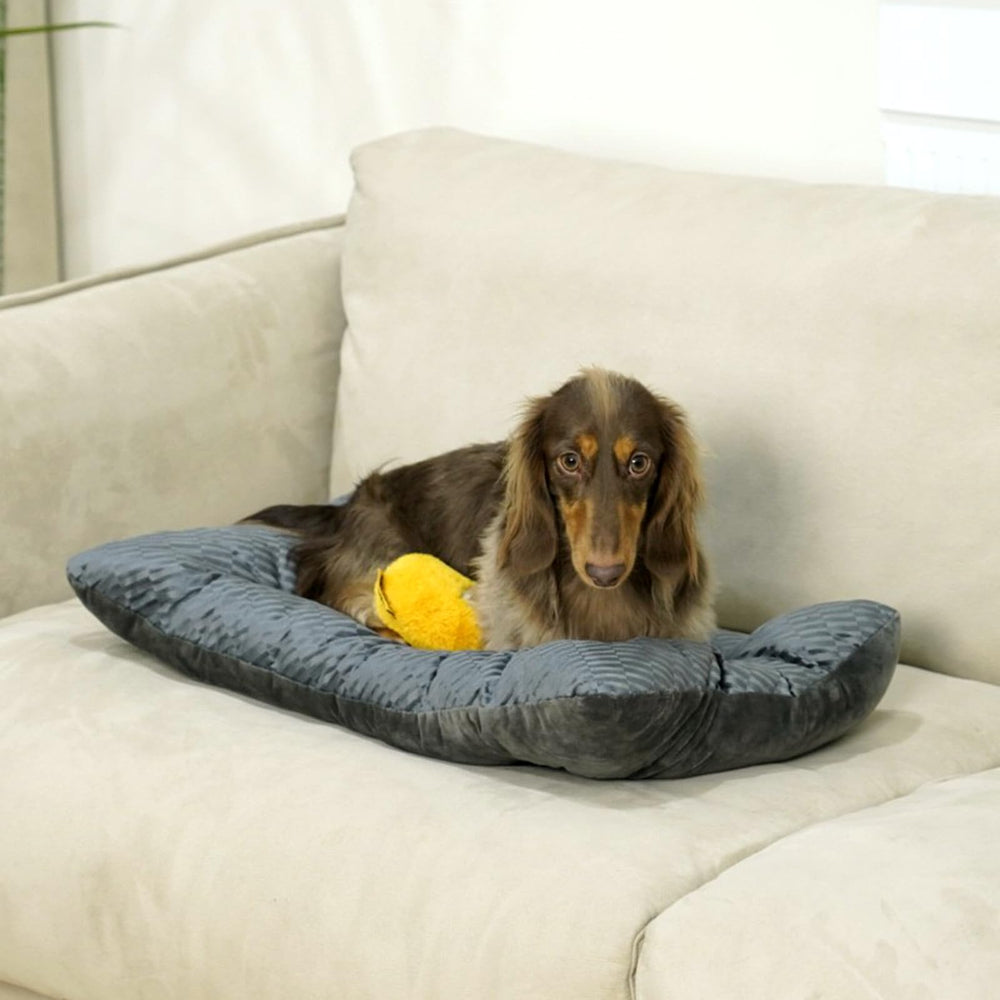 FUNNY FUZZY charcoal-grey design adds plush style to home.
