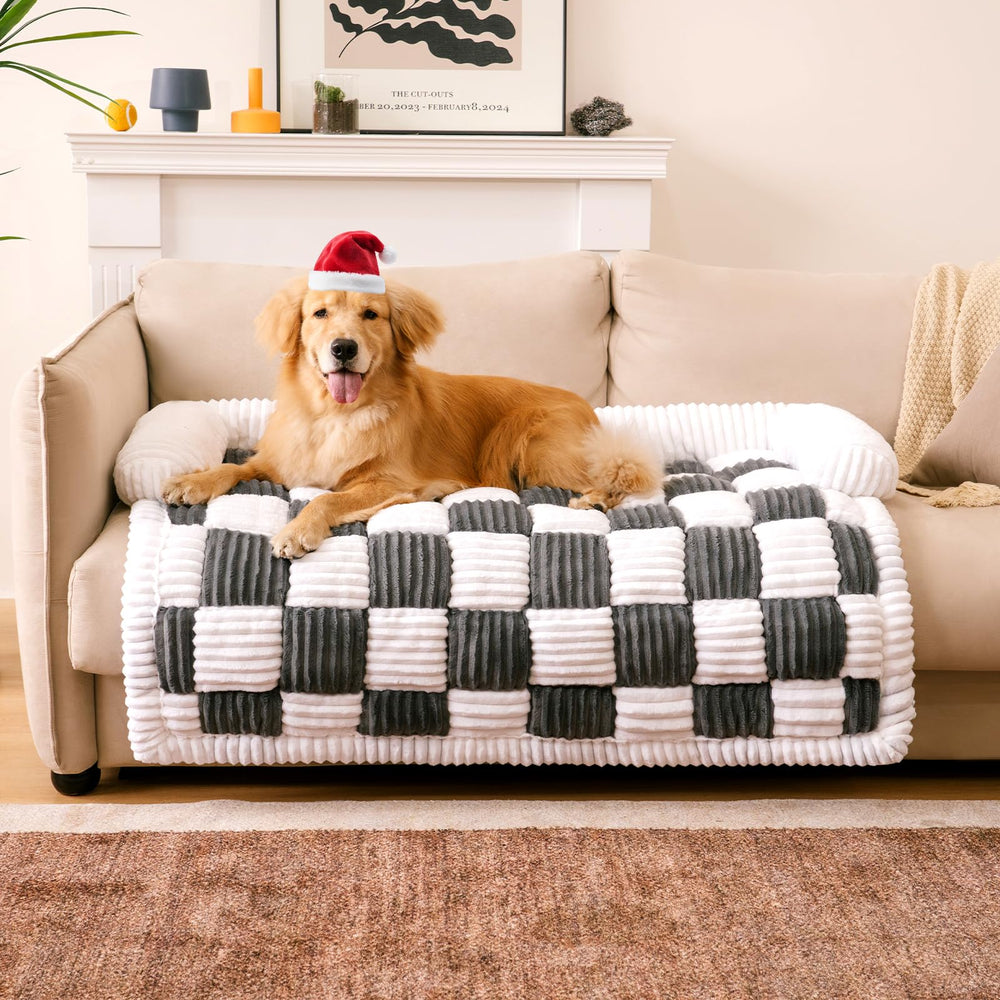 FUNNY FUZZY couch cover with dog-bed-on-sofa elevates comfort for naps