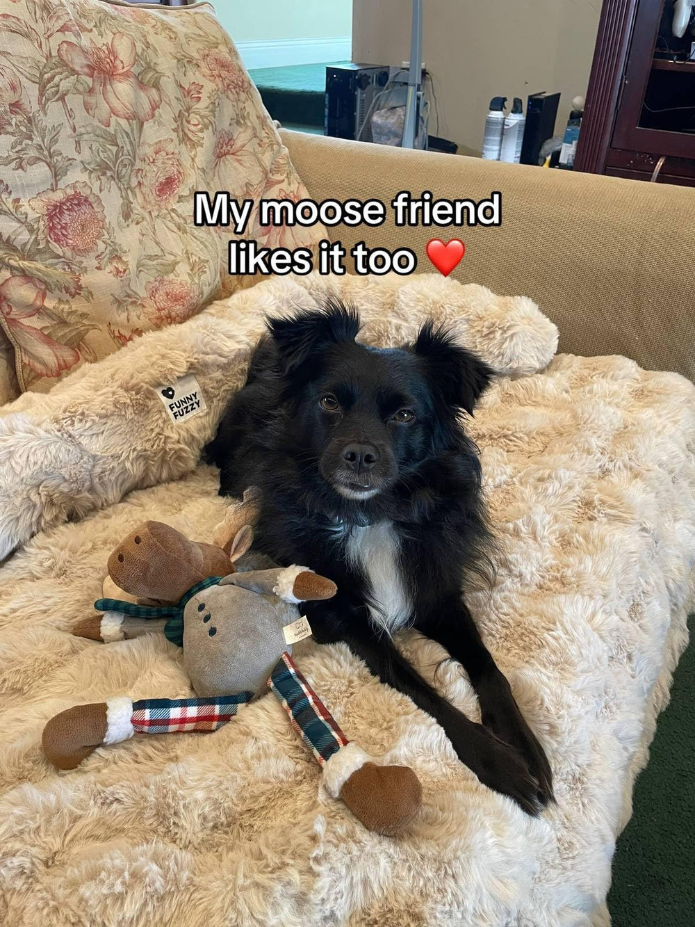 Funny Fuzzy pet mat preserves furniture while giving pets a soft lounging spot