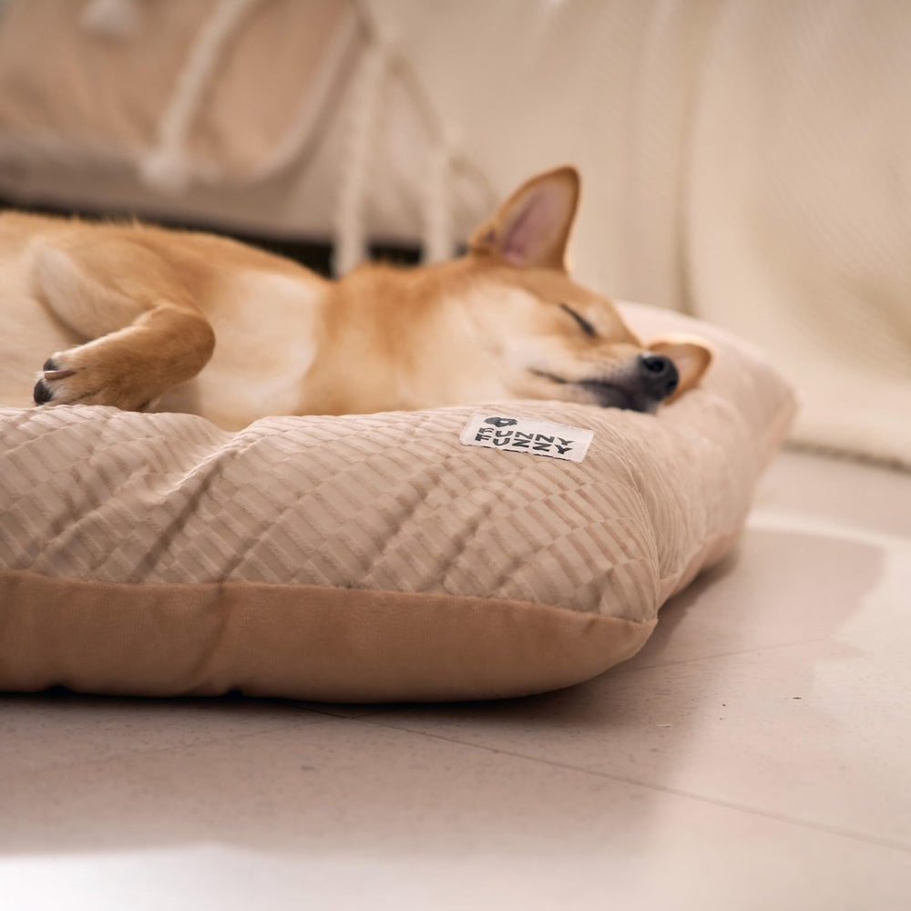 Funny Fuzzy dog bed cotton filling detail emphasizes soft support