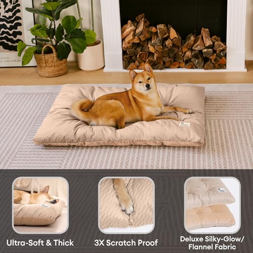 Funny Fuzzy dog bed folded for travel demonstrates portable design and easy packing