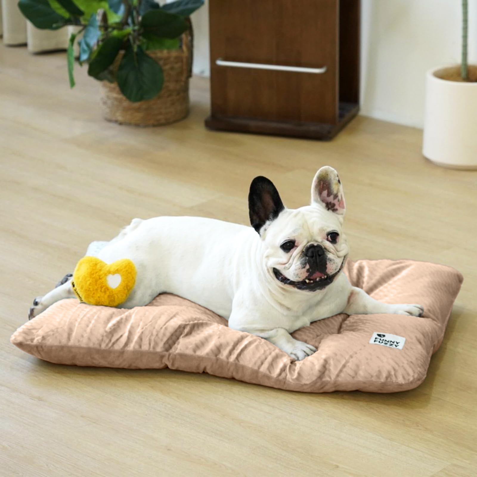 Funny Fuzzy dog bed thermoregulating fabric helps regulate surface temperature