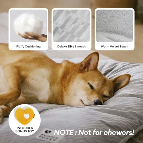 Funny Fuzzy reversible plush and linen side highlights seasonal pet comfort.