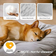 Funny Fuzzy reversible plush and linen side highlights seasonal pet comfort.