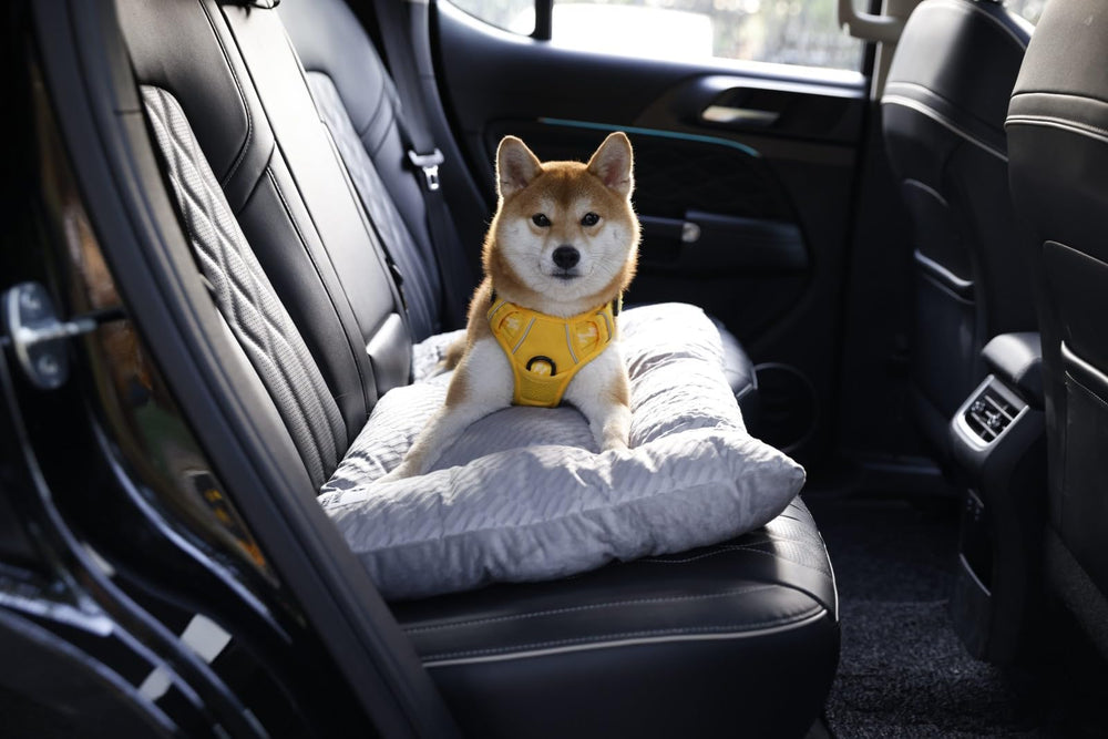 Funny Fuzzy sleep-support mattress encourages curling up or stretching out for a nap.