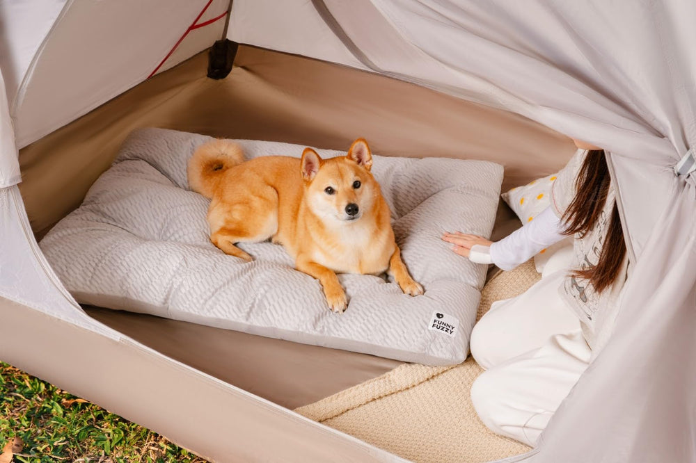 Funny Fuzzy Washable Dog Bed feature-layers communicates year-round comfort with dual-surface design.