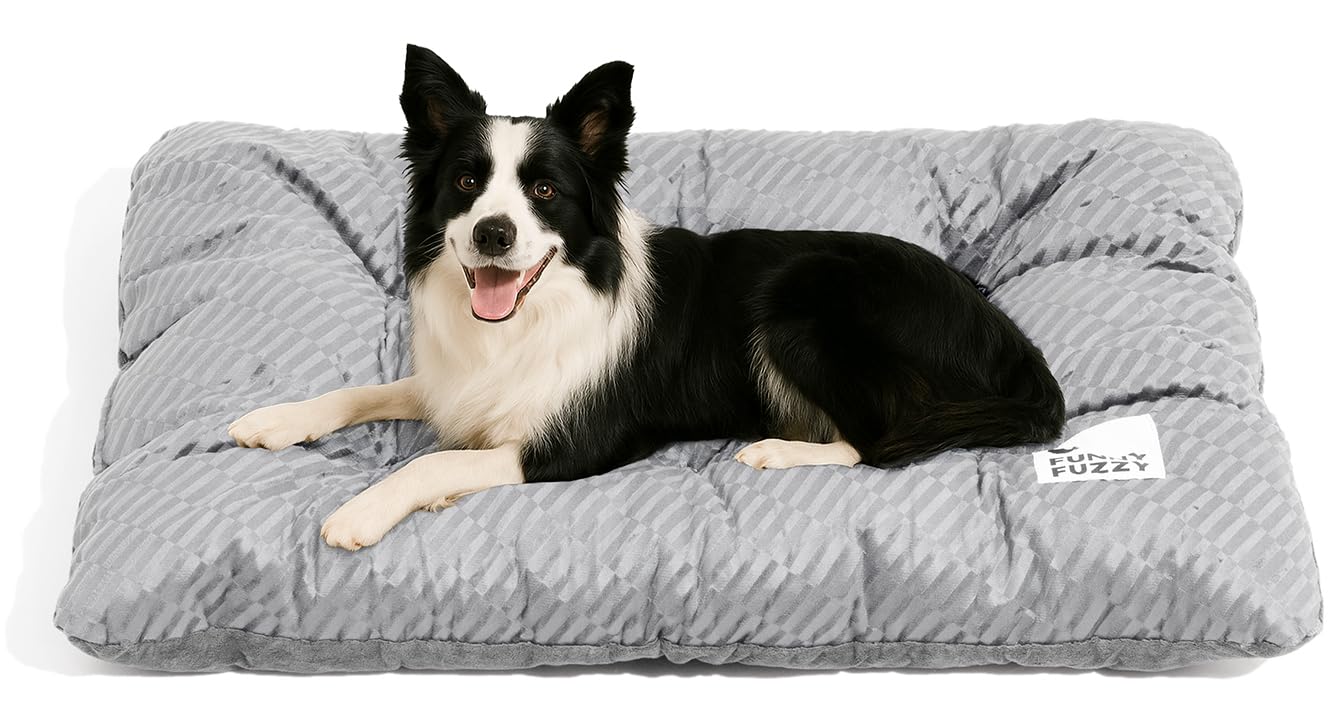 Funny Fuzzy Washable Dog Bed front view shows spacious surface for large dogs comfort.