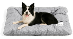 Funny Fuzzy Washable Dog Bed front view shows spacious surface for large dogs comfort.