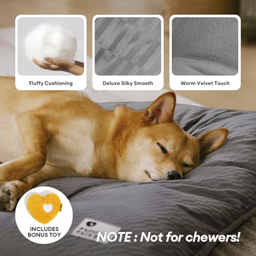 FUNNY FUZZY orthopedic cushion close-up highlights thick cotton fill reducing pressure on joints.