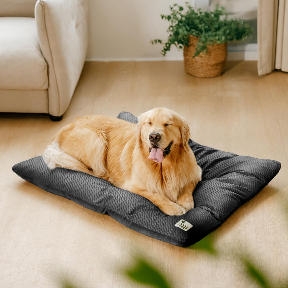 Funny Fuzzy washable XL dog crate bed fits crates from 24 to 48 inches
