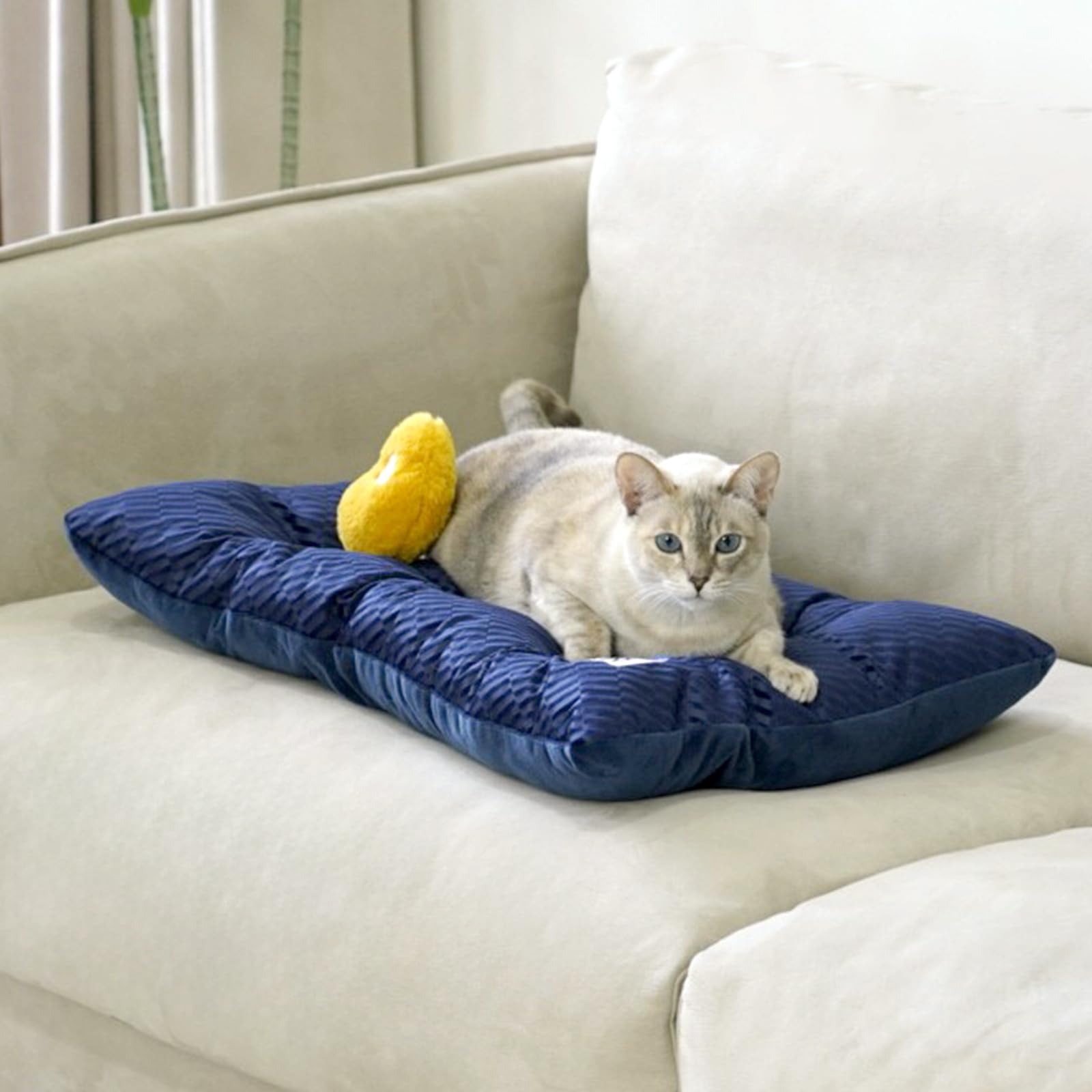 Funny Fuzzy bed mat on cats and dogs for restful nap.
