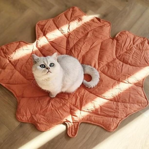FUNNY FUZZY pet-friendly design protects furniture from accidents and fur.