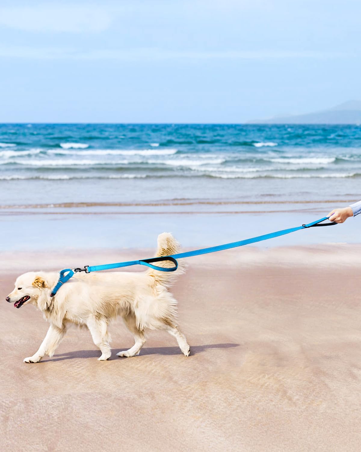 FunTags 1+1 Pack: collar and leash set, great value for puppies and multiple sizes.