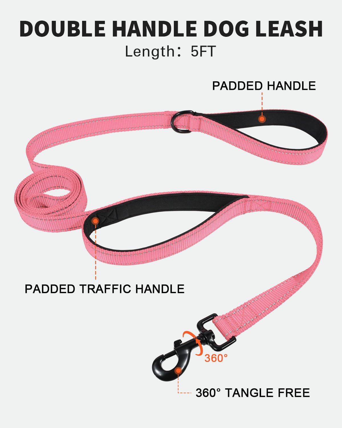 FunTags Dog Collar Leash Set shows the complete training kit for everyday walks.