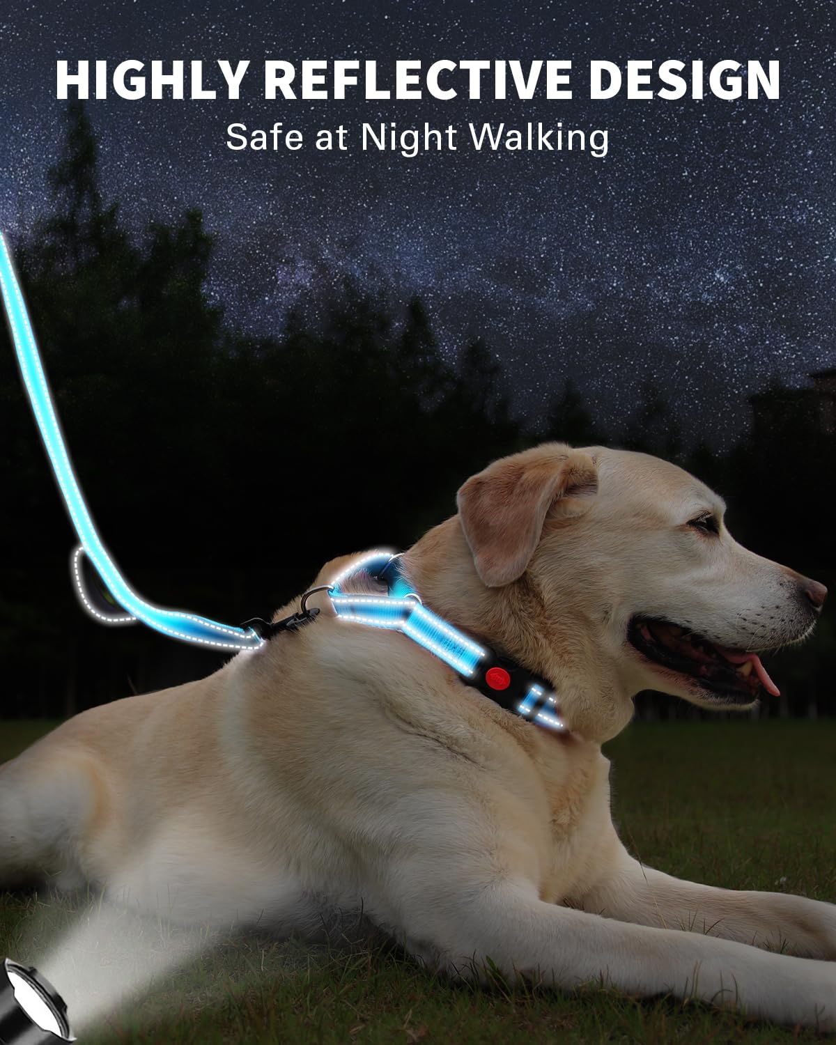 FunTags sky-blue set shows high-visibility reflective stitching on collar and leash.
