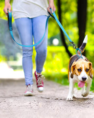 FunTags Quick Release Buckle Collar: sky blue for fast, secure on/off during training.