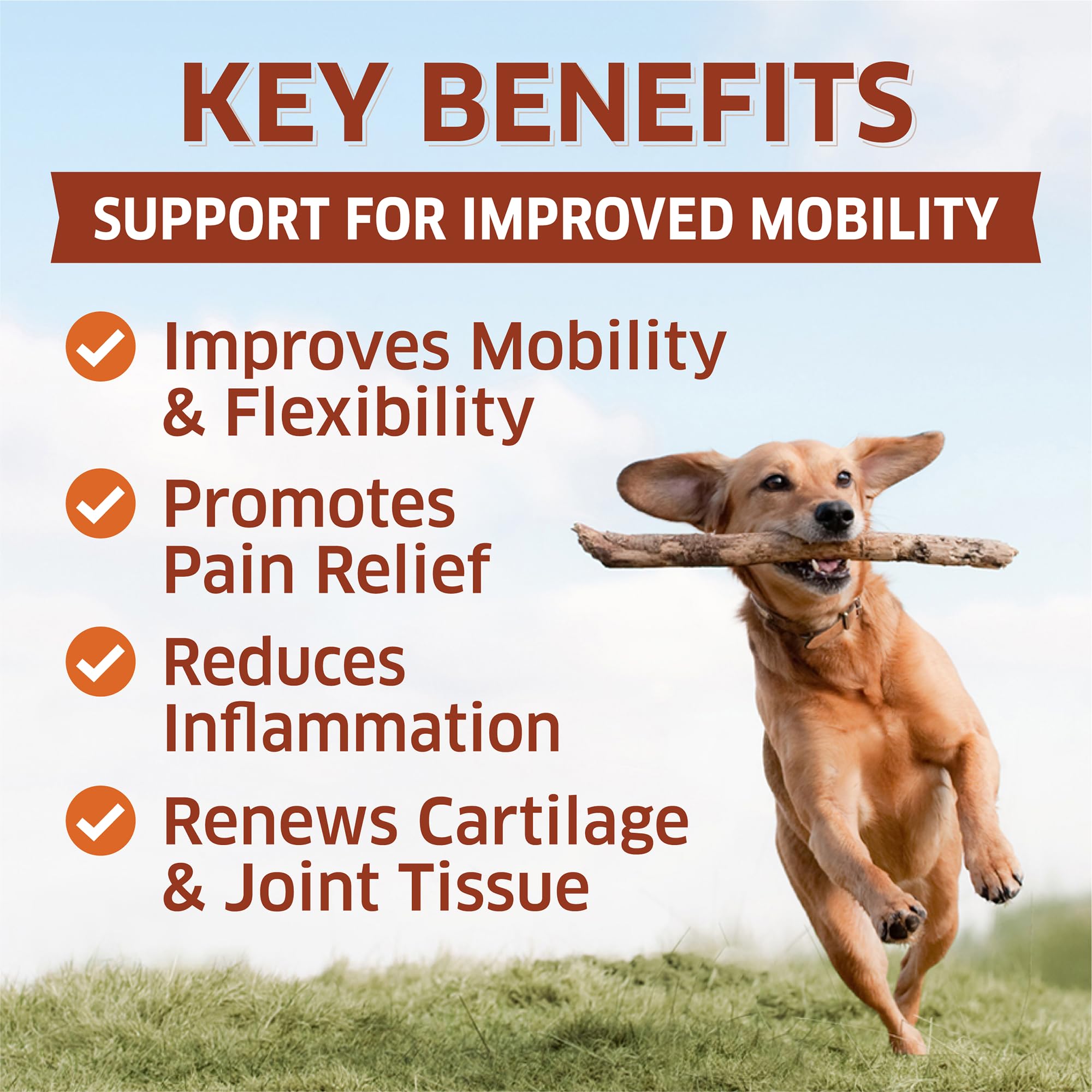 Fur Belly dog joint pain relief soft chews for mobility