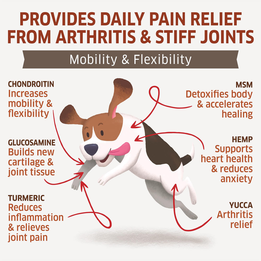Fur Belly glucosamine-chondroitin dog supplement with MSM for joint support