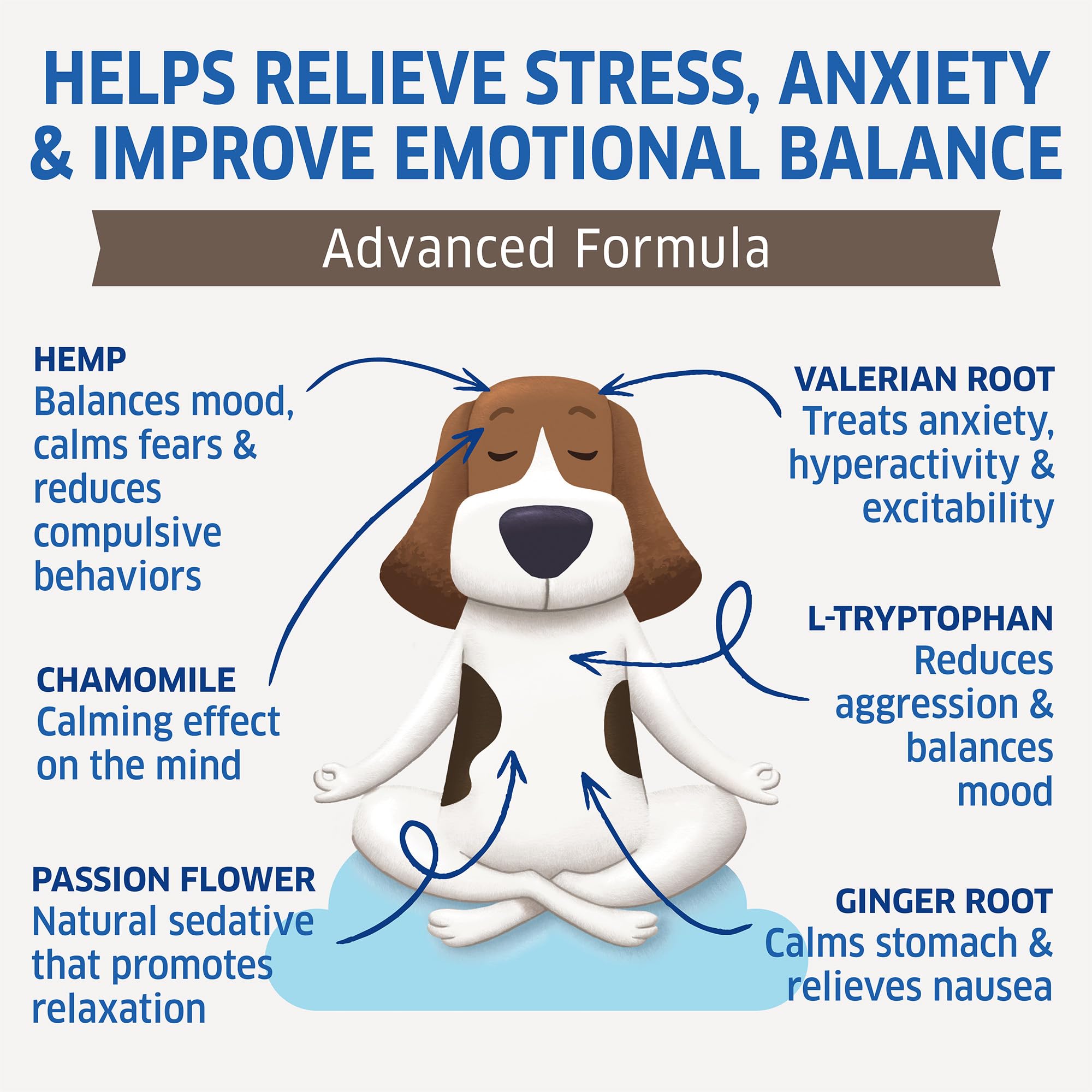 Fur Belly Hemp Calming Chews dog-relaxed image showing a calmer after a chew.