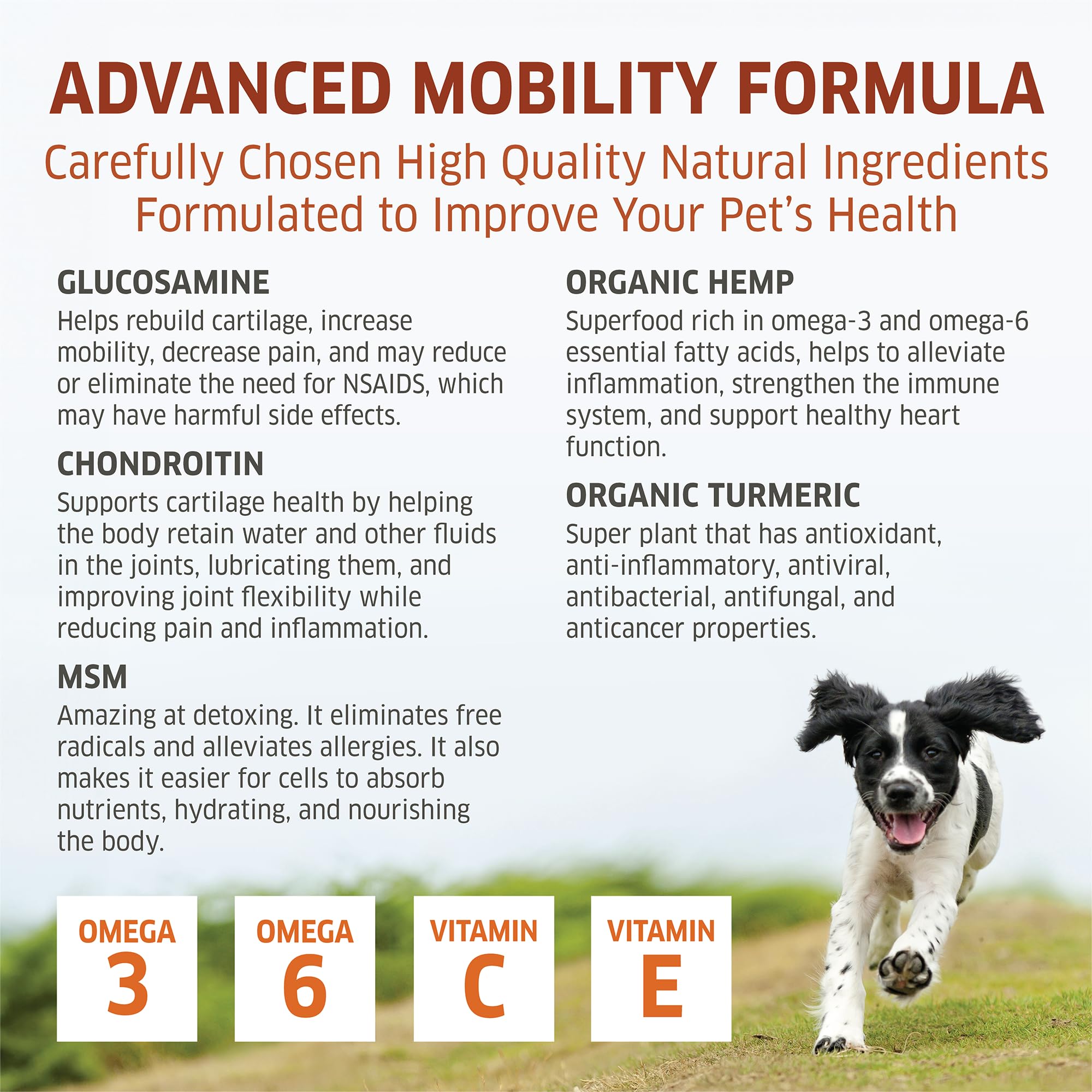 Fur Belly made-in-usa dog supplement packaging