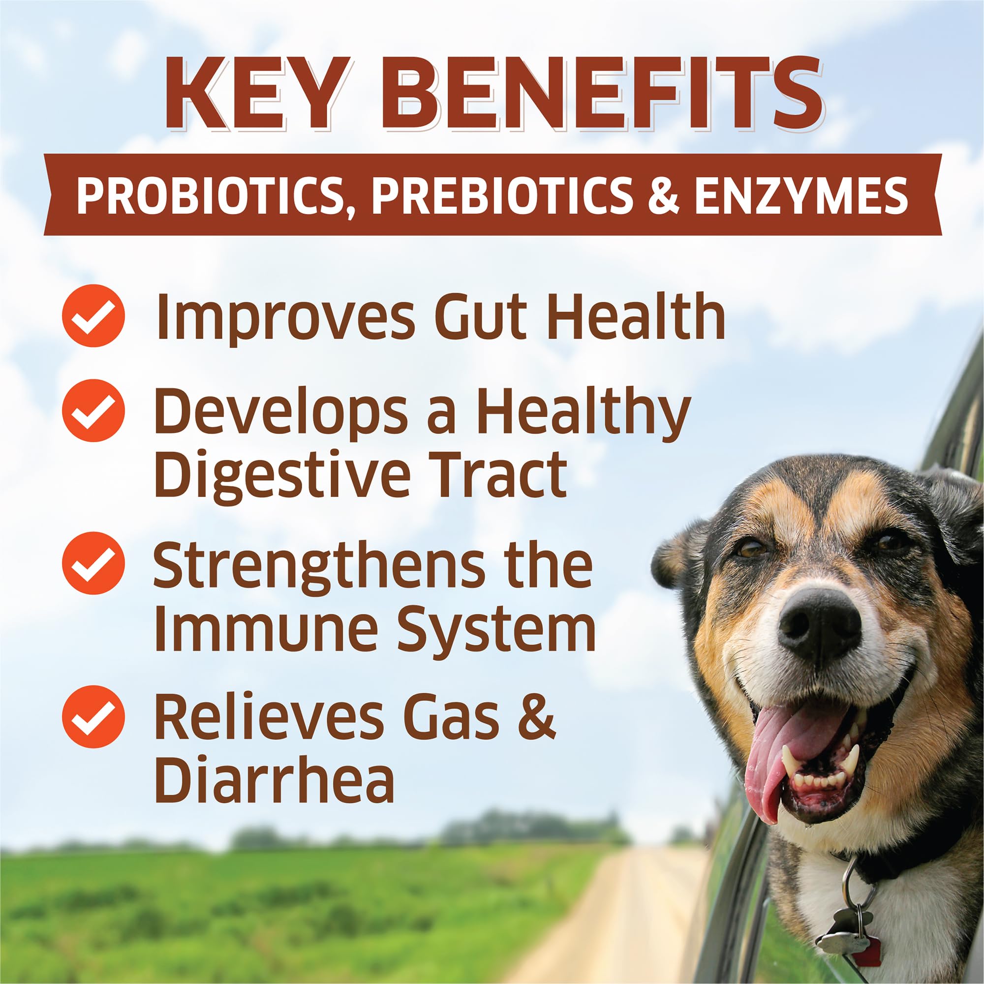 Fur Belly Probiotics bottle on shelf shows USA-made quality for gut health.