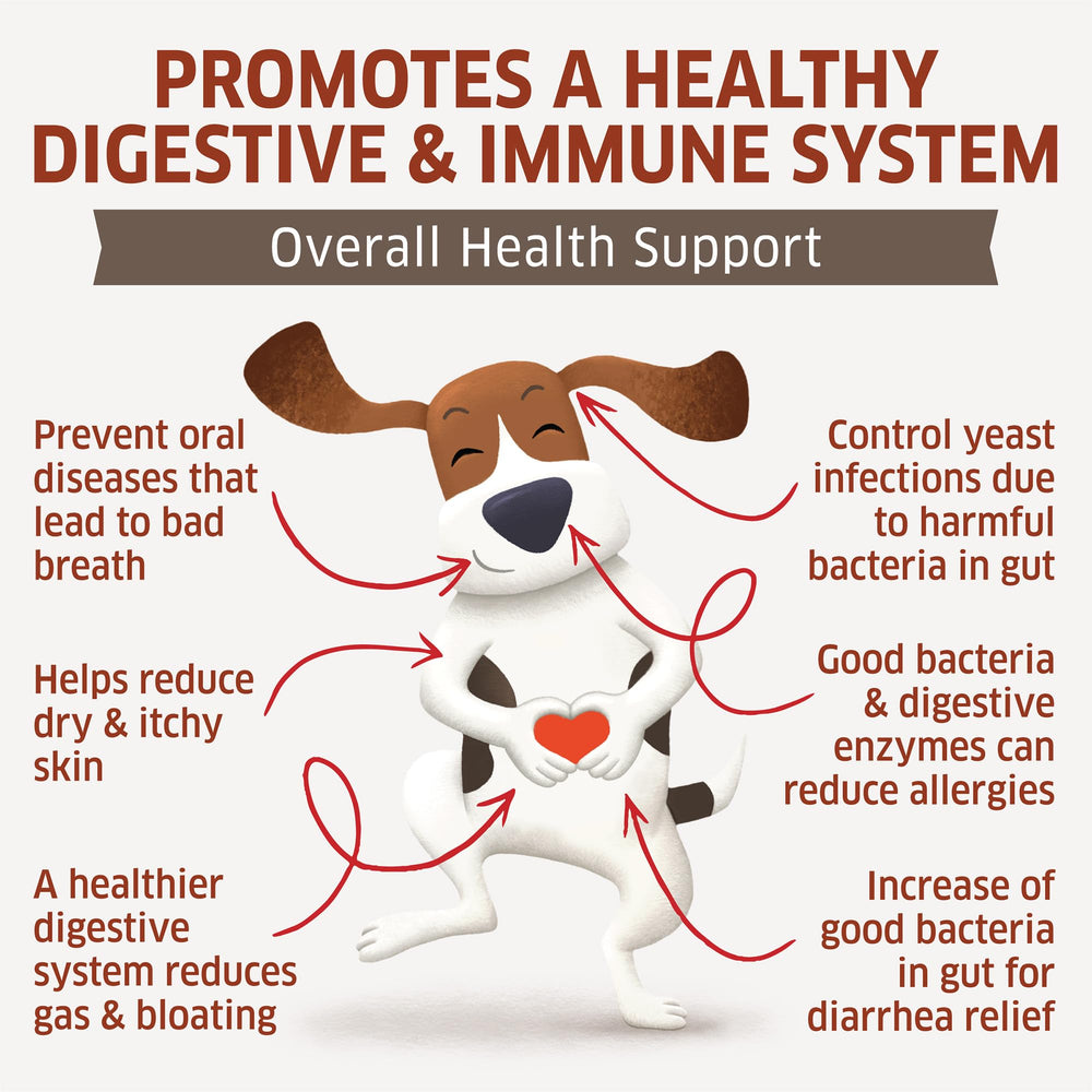 Fur Belly Probiotics hot spot relief usage illustrates soothing potential for itchy skin.