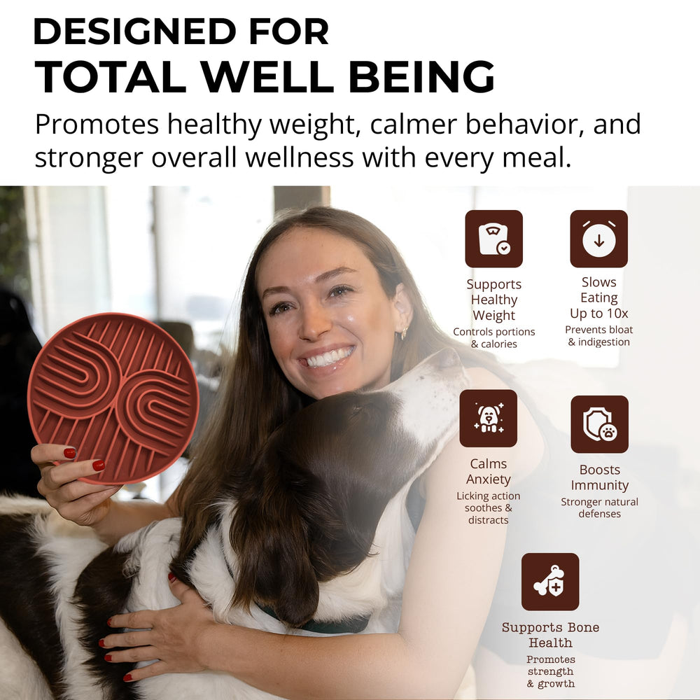 Fur-Brained slow feeder bowl mocha with two-cup capacity for small to medium pets