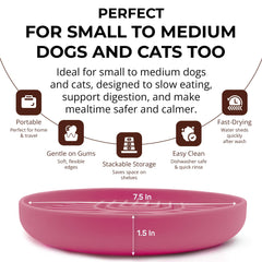 Fur-Brained slow feeder bowls dishwasher-safe offers effortless cleanup after busy meals.