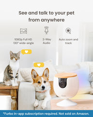 Furbo Mini Camera mounted setup shows versatile placement for pet monitoring