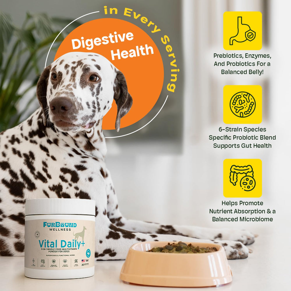 FurBound cheesy-beef flavor mix shows an easy-to-serve supplement for picky eaters.