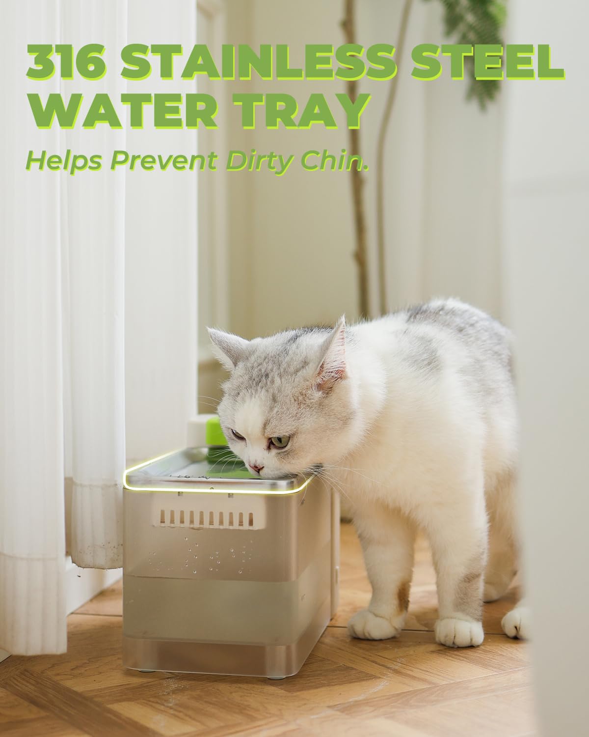 FURBULOUS large-capacity-3-3l-bowl demonstrates long-lasting hydration for multi-pet homes