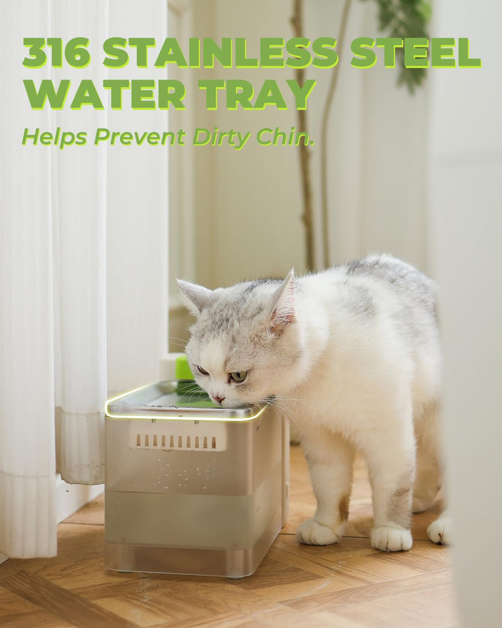 FURBULOUS large-capacity-3-3l-bowl demonstrates long-lasting hydration for multi-pet homes